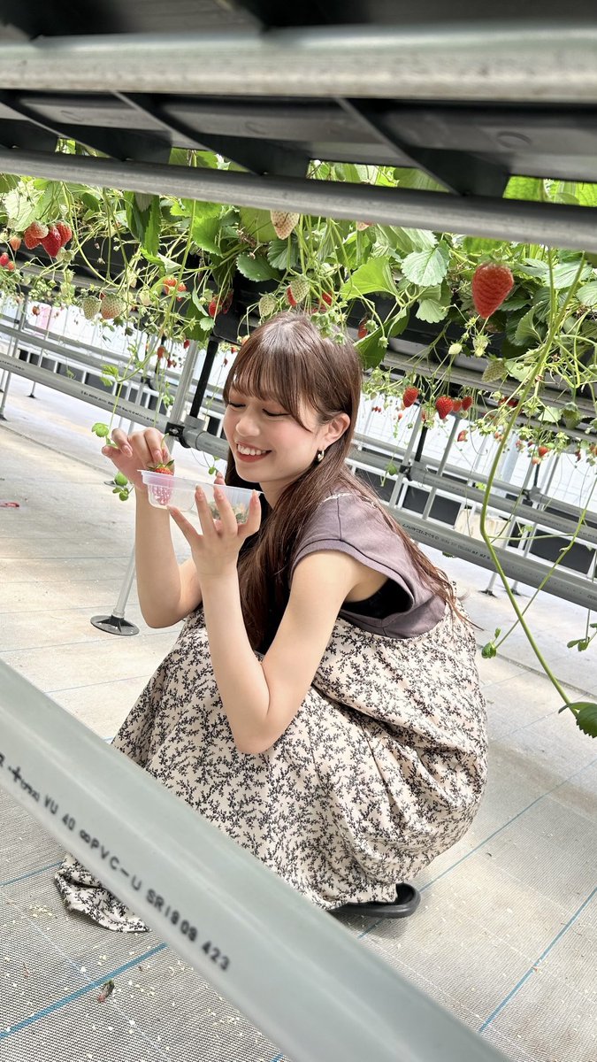 おはようございます☀

週末は家族でいちご狩りに行ってきました🍓
お腹いっぱい食べれて幸せでした🤤

今週も頑張りましょう〜！✨
本日もよろしくお願いします🍓🍓