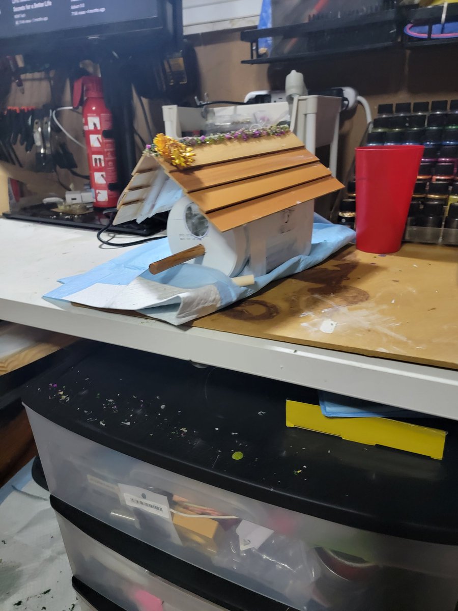 KyAngel72's tweet image. I found a bird that was shaking at the bottom of my fence.  Probably couldn't fly because of the wind.  We have 5 cats, so it was just a matter of time till it turned into a play thing for one of them. . So I brought it in and spent a few hours making a bird house.  Now, mind…