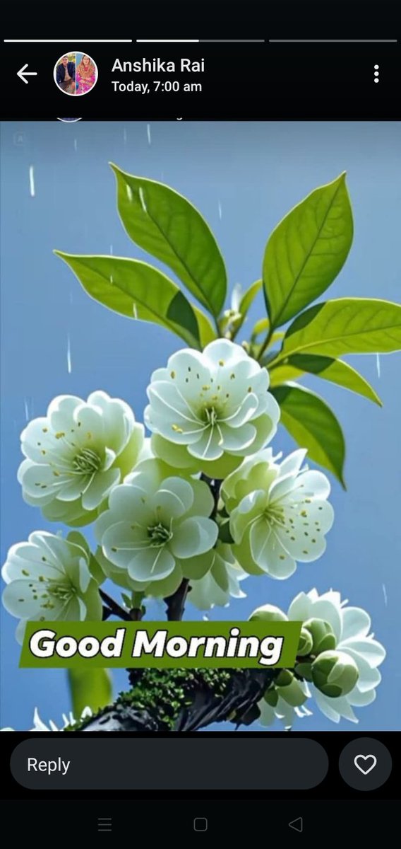 Good morning 🌄 X mates 💕 

Have a Blessing day to all 🌼🌼