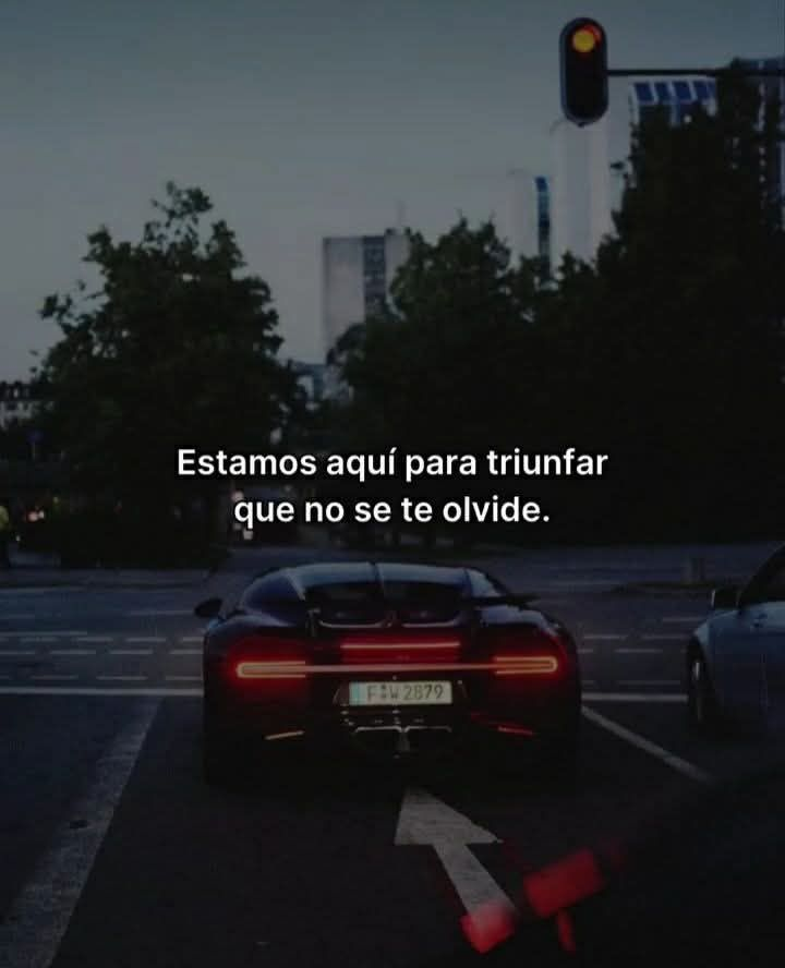 Bandidosfrasess's tweet photo. https://t.co/1NSE8IHU7q