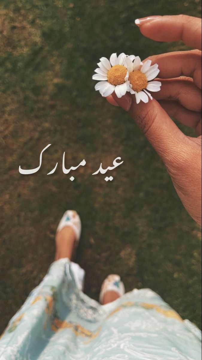 ‏🖤#مـــــManoـــــانو🖤 tweet media