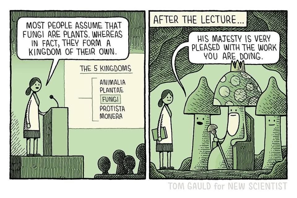 Jeremy Trimble (@jeremyntrimble) on Twitter photo 