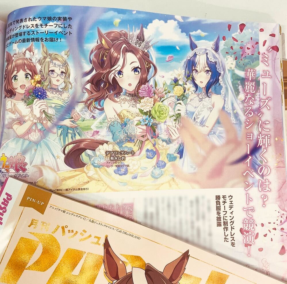 ウマ娘　C95 絵馬 未開封 PASH!編集部 on X: 