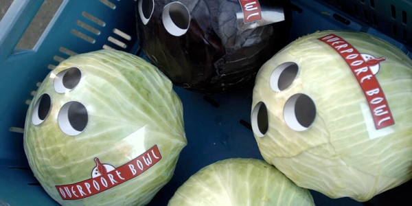 toxel's tweet image. Bowling Ball Cabbage: qd.vc/bowling-ball-c… #cabbage #packaging #bowlingball