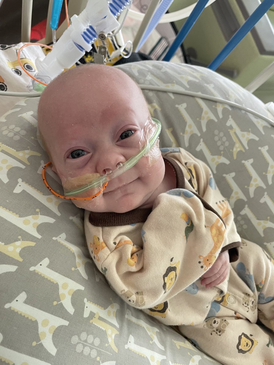 Sam Anderson 🇺🇸 tweet media