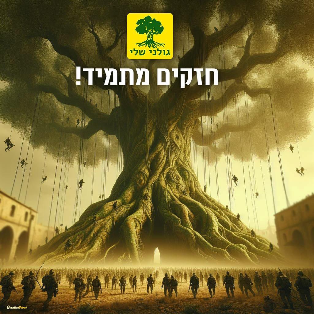 ידידיה בן שימול tweet media