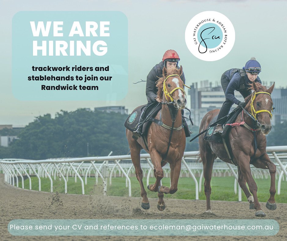 📣 WE ARE HIRING 📣 

Would you like to join one of the most successful teams in racing? 👀 We are currently seeking TRACKWORK RIDERS and STABLEHANDS to join our fun, professional and young team at Randwick Racecourse 🐎

📧 Please email your CV and references to Emma Coleman