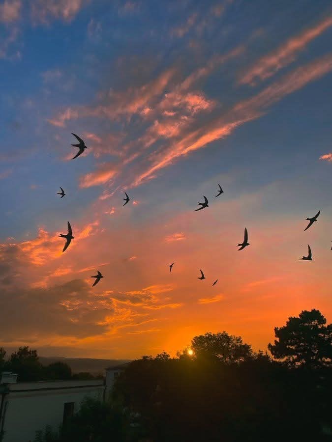 #ساعدوني_اطير 
بعض الخيبات كانَ لابُد من ظلامها
لتعرِف قيمَة النور
#صباح_الخير