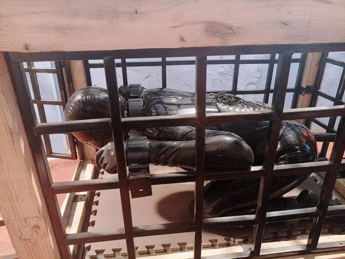 萢萢糖Ding tweet media