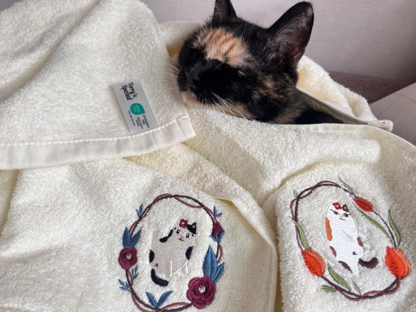 원글 👇👇재게시 한번씩만 부탁드립니다😽🙏🙏