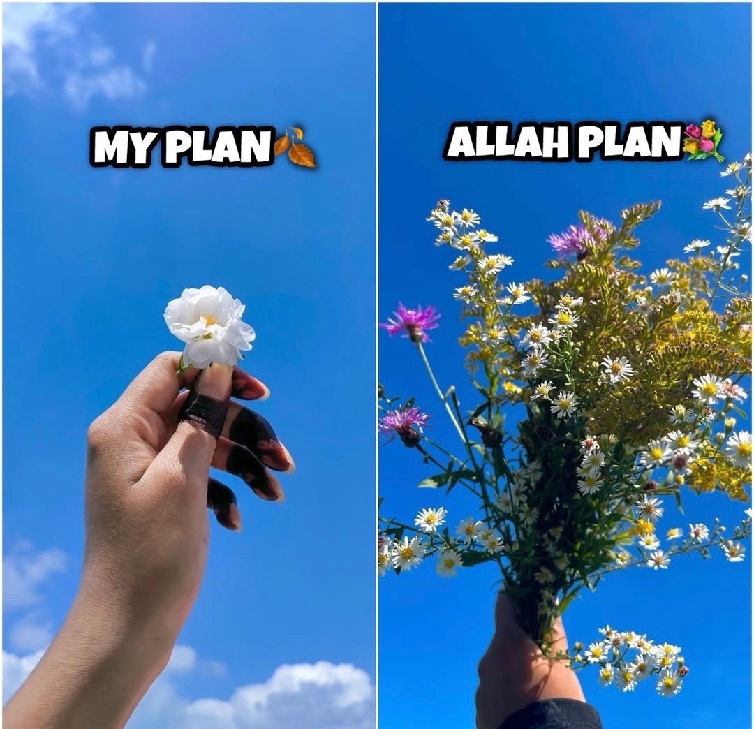 Al__Quraan's tweet photo. “But they plan, and Allah plans. And Allah is the best of planners”

— Al Qur’aan [8:30] https://t.co/KawmxQxpZQ