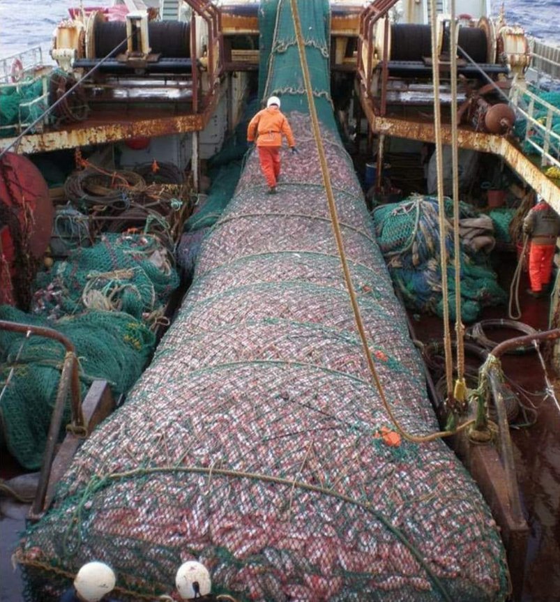 Look at this kind of fishing by the Chinese in Somalia &amp; Madagascar, this is how they catch fish in our waters, &amp; if the Chinese fishing boats take 5 yrs this way you will never see fish again in Somali or Malagasy waters,
