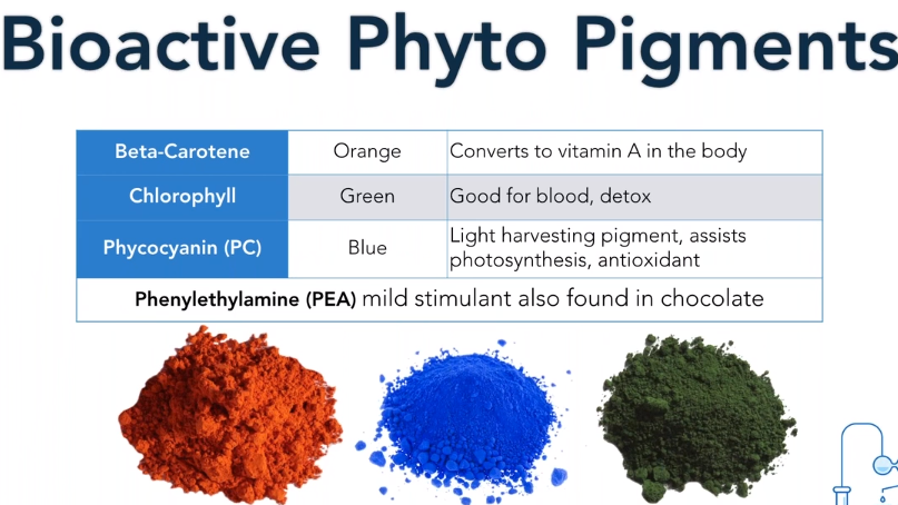 klamathafaalgae's tweet photo. This diagram shows the bioactive phyto pigments in Klamath Lake blue green algae.
​#klamathbluegreenalgae https://t.co/dZ29wPIaa9