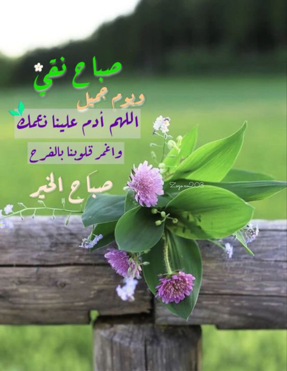 AHMED MAJID (@ahmgid) on Twitter photo <a href="/N22_A3/">🇲🇾د.أحمد البابلي</a> <a href="/Ahmed83n/">Ahmed83</a> <a href="/Hamuod19/">حمود الحميري 𐩢𐩣𐩥𐩵 𐩽 𐩱𐩡𐩢𐩣𐩺𐩧𐩺</a> <a href="/qwer8790/">الصقر الشامخ.</a> <a href="/V7waRCoalN49eC7/">ناصر علي منصر سوار</a> <a href="/_wali_d/">Walid Obaid</a> <a href="/7Ec9z6aubvZ7ZXA/">وَاحَةُ الأَدَبِ ... 📚</a> <a href="/N_D_E_R7/">نذير هزاع العمري</a> <a href="/R_ca_75/">Road Captain</a> <a href="/RadhyShow6/">د.راضي العرضحالجي-Radhy6</a> <a href="/M62687551/">🇮🇶❤️🇮🇶ENG.MOHAMMED 1 🇮🇶❤️🇮🇶</a> <a href="/MubarakAlanaz16/">ابو سلطان الخطيب</a> <a href="/brogalshb/">بروق السحاب</a> <a href="/b_z_zl/">ابومحمد🇾🇪🇵🇸(مقيدلاتلغي)</a> <a href="/BirnCardoso/">Michael Hasan #قروبات_البابلي_للاضافات</a> <a href="/7YayvPRnW18bcxj/">ابوجورى</a> <a href="/Bou189/">وليد شاوي</a> #صباح_الخير
#قروبات_البابلي_للاضافات
😇😊❤️❤️
<a href="/ahmgid/">AHMED MAJID</a>
<a href="/Ahmed83n/">Ahmed83</a>
<a href="/Hamuod19/">حمود الحميري 𐩢𐩣𐩥𐩵 𐩽 𐩱𐩡𐩢𐩣𐩺𐩧𐩺</a>
<a href="/qwer8790/">الصقر الشامخ.</a>
<a href="/V7waRCoalN49eC7/">ناصر علي منصر سوار</a>
<a href="/_wali_d/">Walid Obaid</a>
<a href="/7Ec9z6aubvZ7ZXA/">وَاحَةُ الأَدَبِ ... 📚</a>
<a href="/N_D_E_R7/">نذير هزاع العمري</a>
<a href="/R_ca_75/">Road Captain</a>
<a href="/RadhyShow6/">د.راضي العرضحالجي-Radhy6</a>
<a href="/M62687551/">🇮🇶❤️🇮🇶ENG.MOHAMMED 1 🇮🇶❤️🇮🇶</a>
<a href="/MubarakAlanaz16/">ابو سلطان الخطيب</a>
<a href="/brogalshb/">بروق السحاب</a>
<a href="/b_z_zl/">ابومحمد🇾🇪🇵🇸(مقيدلاتلغي)</a>
<a href="/BirnCardoso/">Michael Hasan #قروبات_البابلي_للاضافات</a>
<a href="/7YayvPRnW18bcxj/">ابوجورى</a>
<a href="/Bou18/">Kayleigh McCormick</a> <a href="/N22_A3/">🇲🇾د.أحمد البابلي</a> <a href="/Ahmed83n/">Ahmed83</a> <a href="/Hamuod19/">حمود الحميري 𐩢𐩣𐩥𐩵 𐩽 𐩱𐩡𐩢𐩣𐩺𐩧𐩺</a> <a href="/qwer8790/">الصقر الشامخ.</a> <a href="/V7waRCoalN49eC7/">ناصر علي منصر سوار</a> <a href="/_wali_d/">Walid Obaid</a> <a href="/7Ec9z6aubvZ7ZXA/">وَاحَةُ الأَدَبِ ... 📚</a> <a href="/N_D_E_R7/">نذير هزاع العمري</a> <a href="/R_ca_75/">Road Captain</a> <a href="/RadhyShow6/">د.راضي العرضحالجي-Radhy6</a> <a href="/M62687551/">🇮🇶❤️🇮🇶ENG.MOHAMMED 1 🇮🇶❤️🇮🇶</a> <a href="/MubarakAlanaz16/">ابو سلطان الخطيب</a> <a href="/brogalshb/">بروق السحاب</a> <a href="/b_z_zl/">ابومحمد🇾🇪🇵🇸(مقيدلاتلغي)</a> <a href="/BirnCardoso/">Michael Hasan #قروبات_البابلي_للاضافات</a> <a href="/7YayvPRnW18bcxj/">ابوجورى</a> <a href="/Bou189/">وليد شاوي</a> #صباح_الخير
#قروبات_البابلي_للاضافات
😇😊❤️❤️
<a href="/ahmgid/">AHMED MAJID</a>
<a href="/Ahmed83n/">Ahmed83</a>
<a href="/Hamuod19/">حمود الحميري 𐩢𐩣𐩥𐩵 𐩽 𐩱𐩡𐩢𐩣𐩺𐩧𐩺</a>
<a href="/qwer8790/">الصقر الشامخ.</a>
<a href="/V7waRCoalN49eC7/">ناصر علي منصر سوار</a>
<a href="/_wali_d/">Walid Obaid</a>
<a href="/7Ec9z6aubvZ7ZXA/">وَاحَةُ الأَدَبِ ... 📚</a>
<a href="/N_D_E_R7/">نذير هزاع العمري</a>
<a href="/R_ca_75/">Road Captain</a>
<a href="/RadhyShow6/">د.راضي العرضحالجي-Radhy6</a>
<a href="/M62687551/">🇮🇶❤️🇮🇶ENG.MOHAMMED 1 🇮🇶❤️🇮🇶</a>
<a href="/MubarakAlanaz16/">ابو سلطان الخطيب</a>
<a href="/brogalshb/">بروق السحاب</a>
<a href="/b_z_zl/">ابومحمد🇾🇪🇵🇸(مقيدلاتلغي)</a>
<a href="/BirnCardoso/">Michael Hasan #قروبات_البابلي_للاضافات</a>
<a href="/7YayvPRnW18bcxj/">ابوجورى</a>
<a href="/Bou18/">Kayleigh McCormick</a>