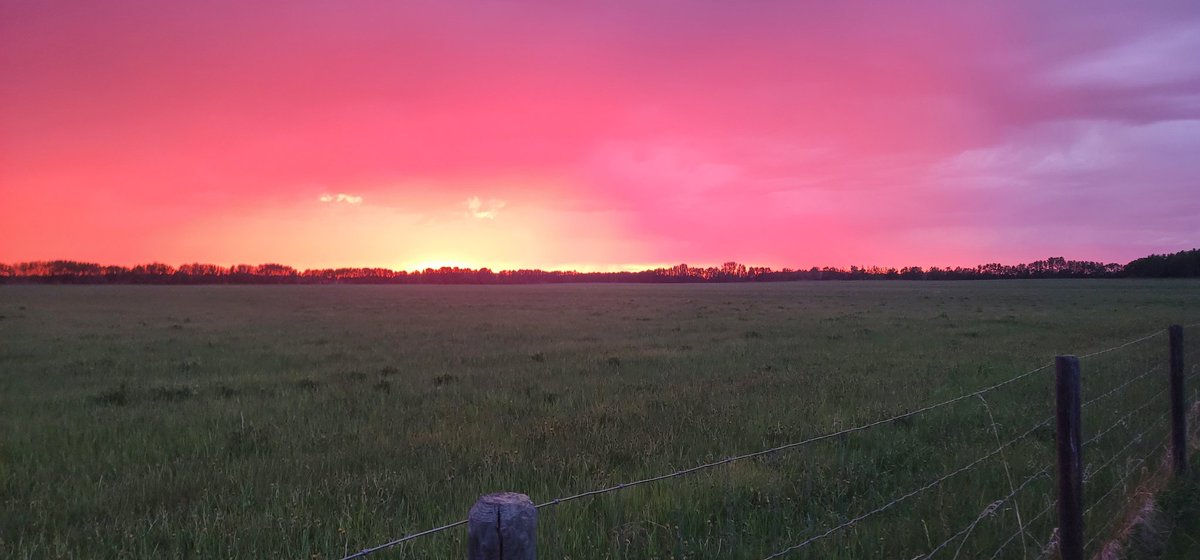 KcDoubleshot's tweet photo. Sunset over a field of hay, it was a pretty good day. https://t.co/zaBe7NTeNB