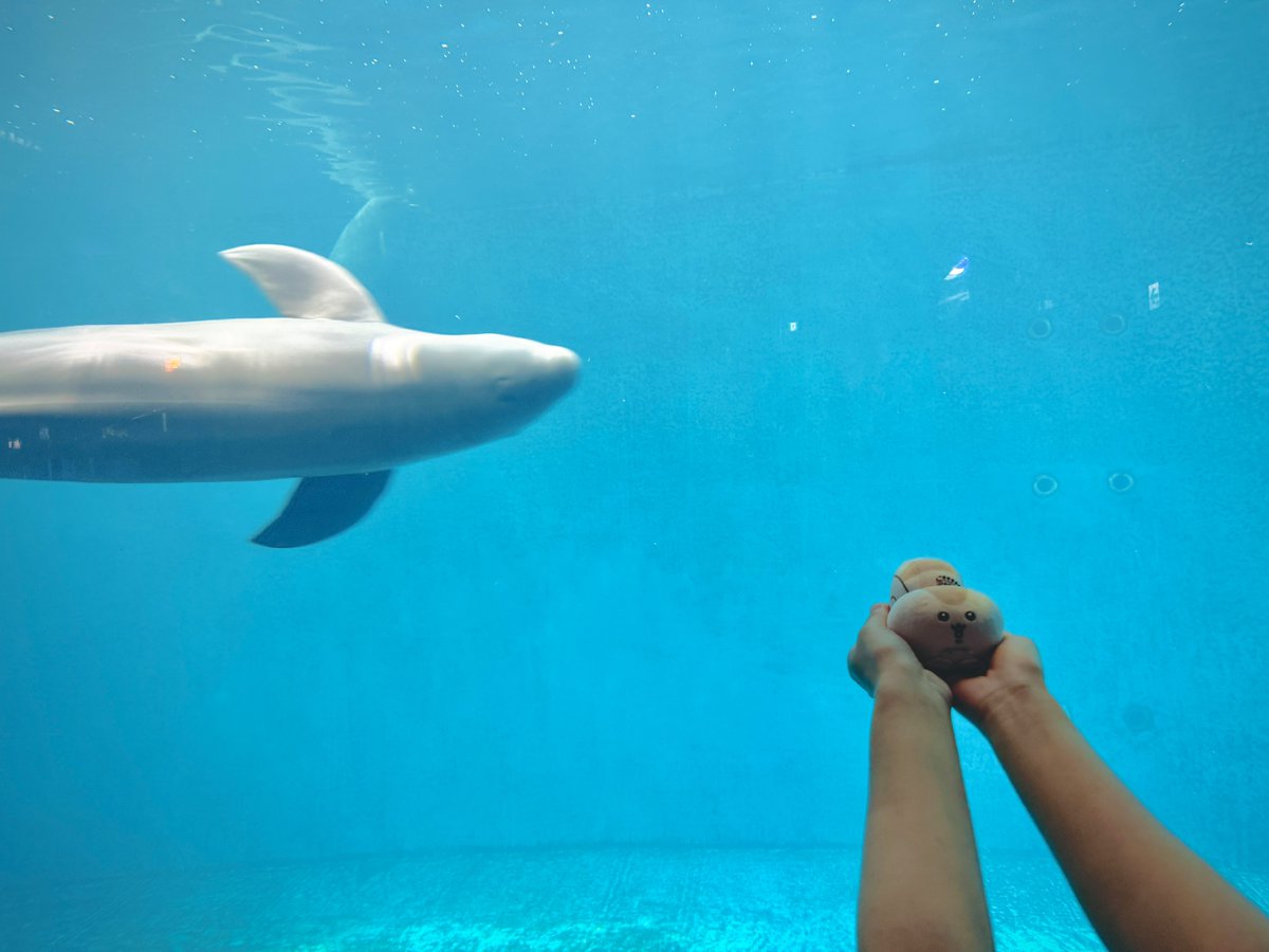 ピスタチオ村田 tweet media