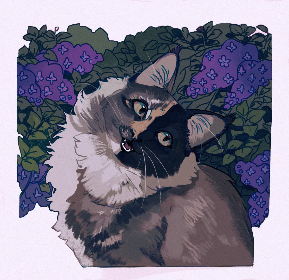 ᴋɪ·ᴋᴜɴ🌿🌌💤 (@kibrunka) on Twitter photo 