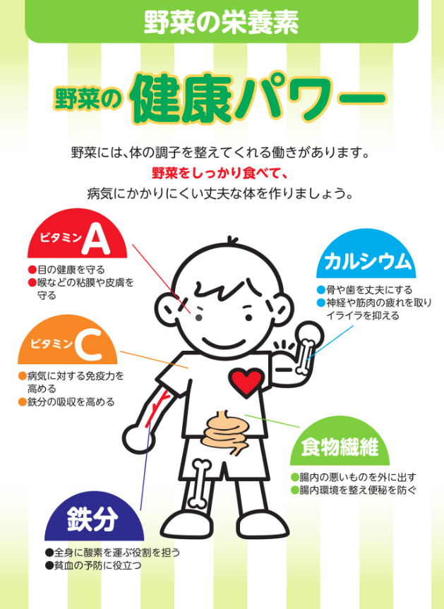 ／
本当にしってる？
野菜のこと 🥕🥔🥦
＼

身近なのに意外と知らない野菜の魅力
野菜を上手に取り入れて、
元気な体を作りましょう🤗

🌽野菜に秘められた栄養のチカラ💪
体の調子を整えてくれる野菜には、どんな栄養素が含まれていて、どんな働きをするのでしょう？

my.ebook5.net/instantramen/v…