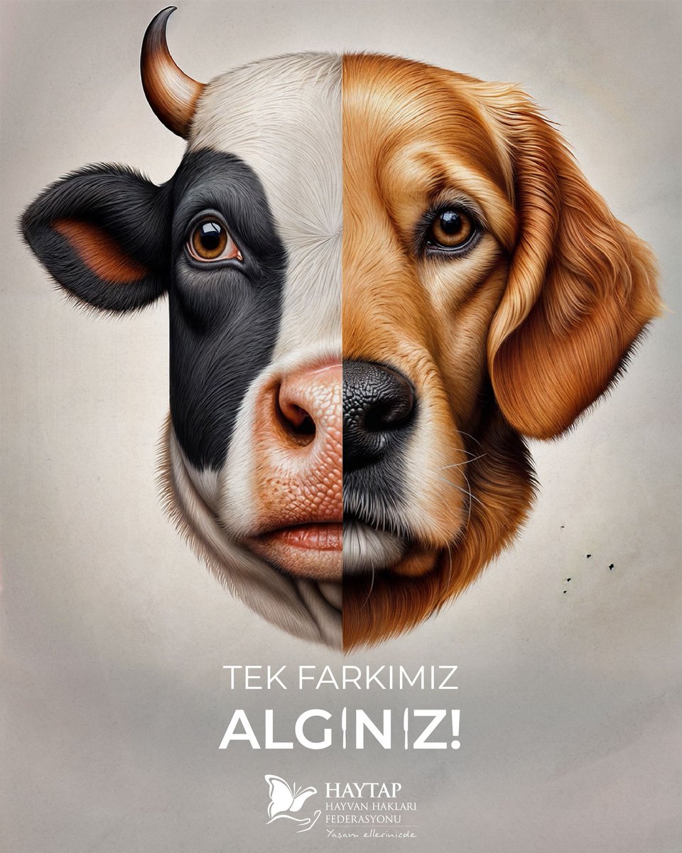 Tek Farkımız ALGINIZ!
