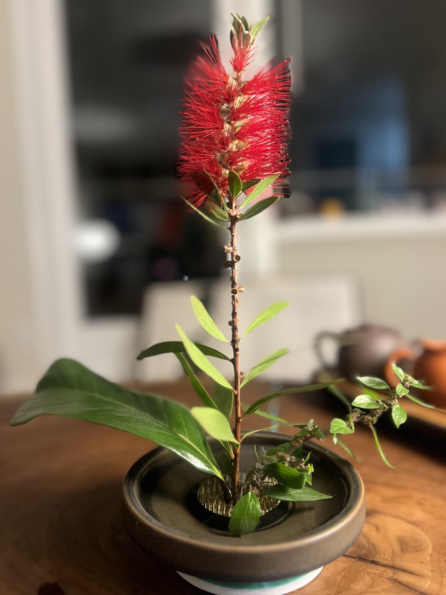 alessandrosolbiati.substack.com/p/a-simple-pra…

A simple practice of walking meditation - meditation instructions on how to open the window, creating a gap to allow our natural perfection to enter.