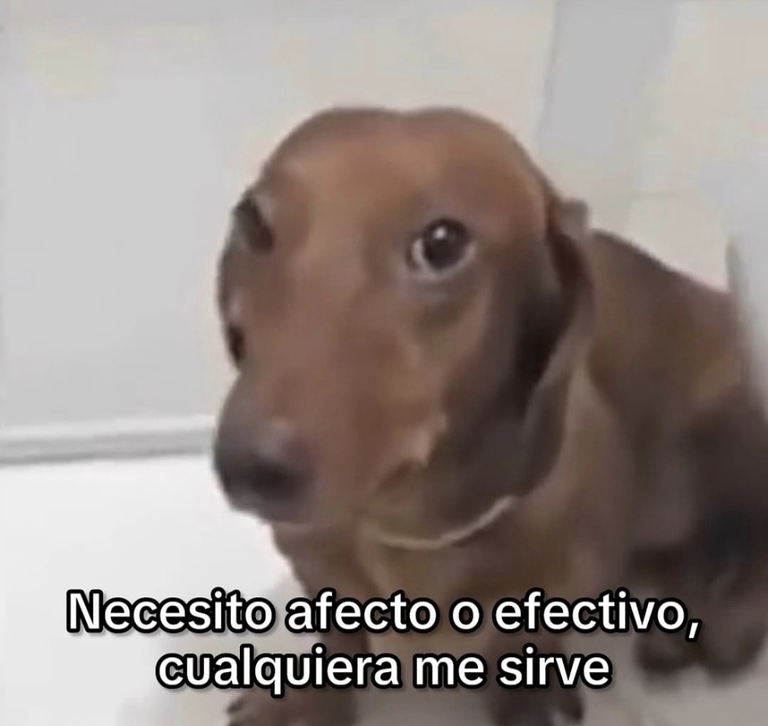 En Júpiter (@en_jupiter_) on Twitter photo 