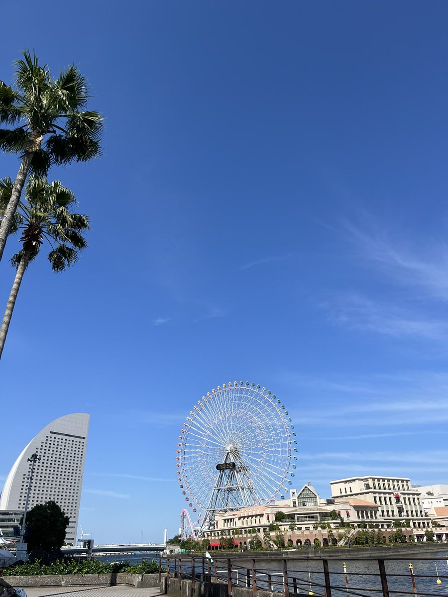 今日は、最近お疲れの嫁さん(絶対関本のせい)を外に連れ出して気分転換♪
ツーショットを撮ろうとしたら「やめろ」と怒られたので関本単品📸
青空の下は気持ちがいいですね✨
たまにはのんびり☺️