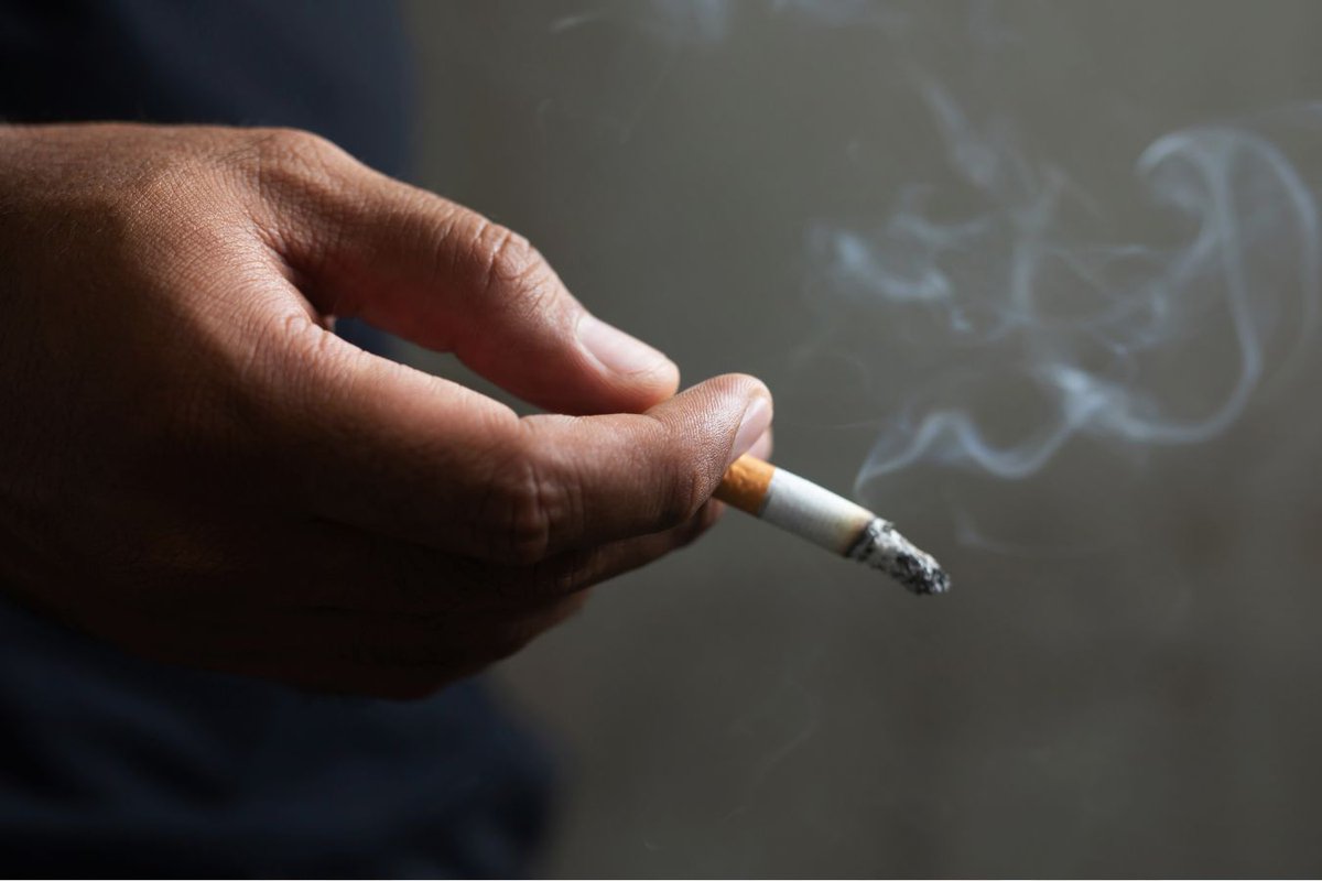 אפקט המלחמה: האגודה למלחמה בסרטן מפרסמת סקר חדש, ממנו עולה כי כשליש מהישראלים התחילו או חזרו לעשן לאחרונה, זאת בעקבות המצב הביטחוני; 5% מהמעשנים הקבועים - הגבירו את העישון ובקרב צעירים בני 16 עד 24 שיעור עישון הסיגריות האלקטרוניות עומד על 18%