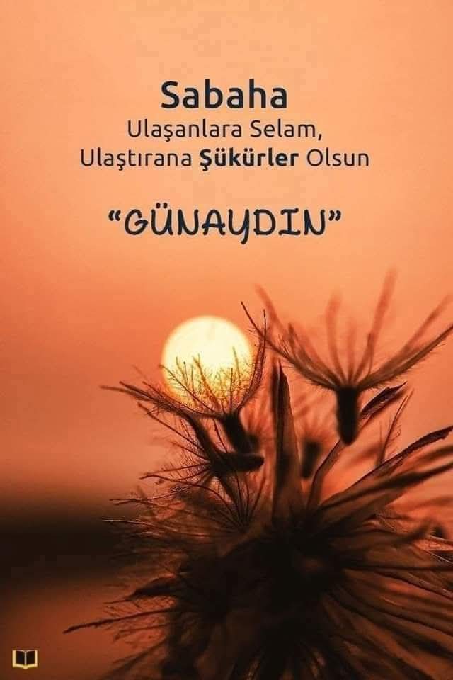 Rabbim güzel nasib etsin inşallah..
Günümüz aydın olsun işimiz gücümüz rastgelsin..
#Günaydın