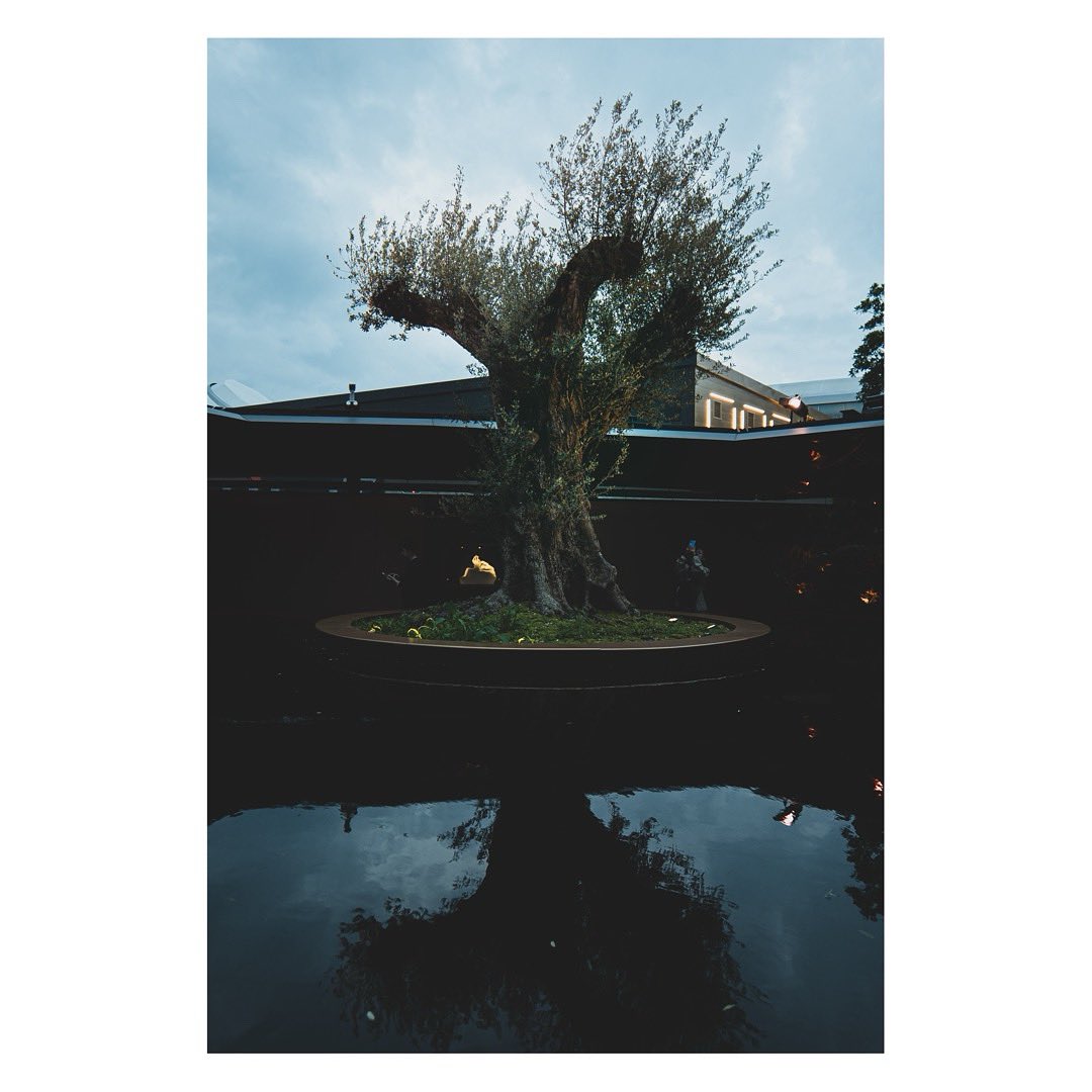 シャル tweet media