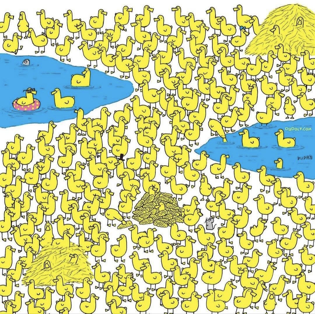 Σε αυτή τη μεγάλη παρέα από παπάκια που ήρθε να κάνει το μπανάκι της στην εξωτική αμμουδιά, έχει τρυπώσει ένα μικρό κοτοπουλάκι που πρέπει να βρεθεί γιατί το ψάχνει η μαμά του.

Μπορείτε να βοηθήσετε;;;

Να κάνετε RT να διασκεδάσει κι άλλος κόσμος 🤨 

Καλή επιτυχία σε όλους 🤗