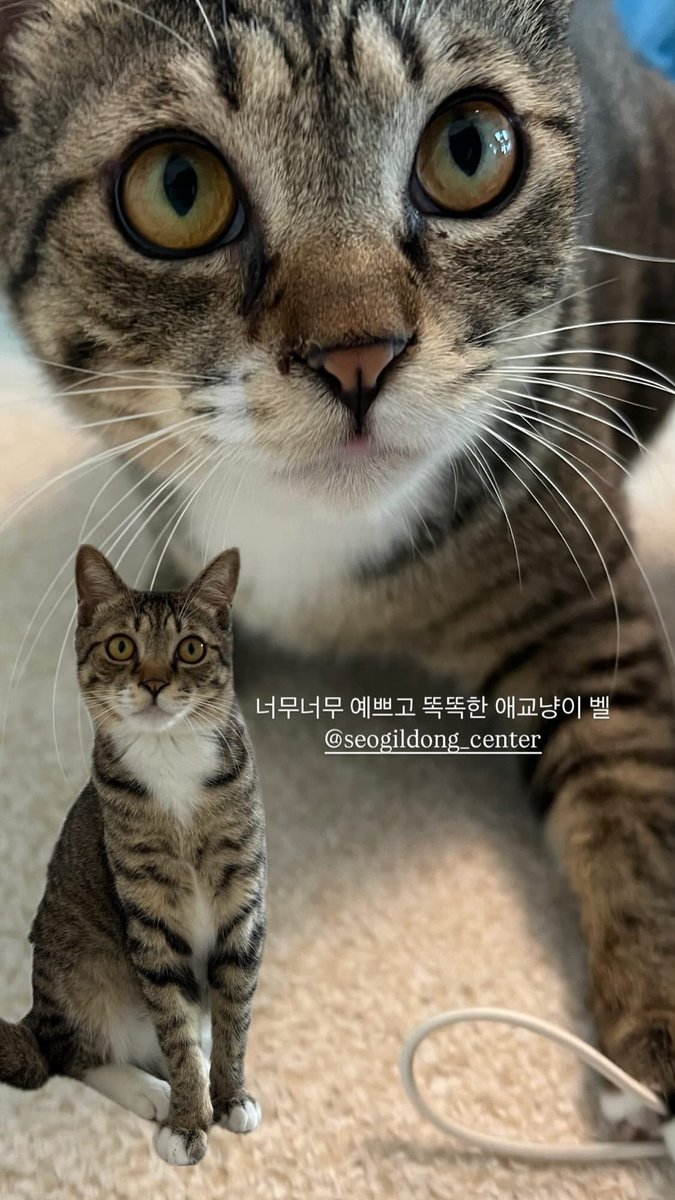seogildong_ tweet picture