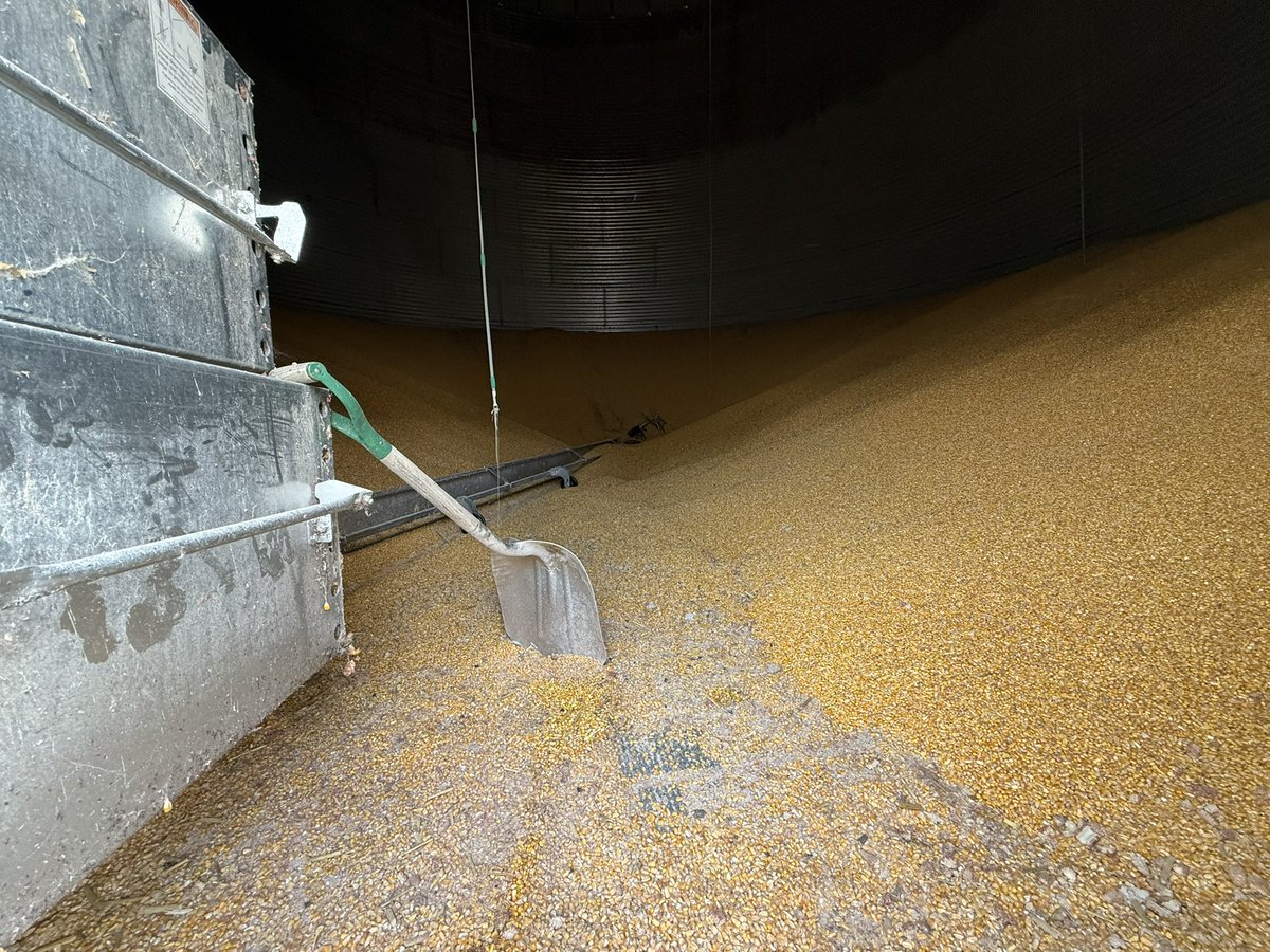 This is a plus    I thought they were all empty😂😂