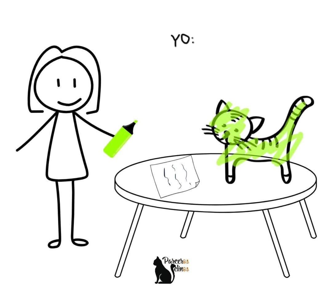 “Resalta lo más importante”