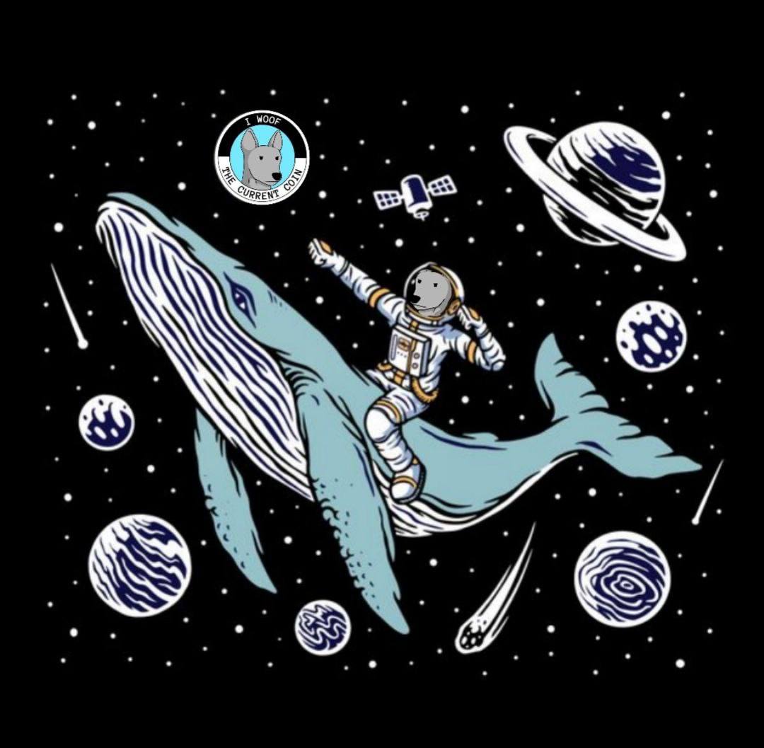 <a href="/0xSweep/">Sweep</a> Hi <a href="/OxSweep/">Barrer</a>
Life is short. Eat well. Sleep well. Hold $NPI. Because the coin will fly to the moon, at least you're riding along...🚀🚀🚀🕺🌛

If you don't buy it now, you'll be at a loss 🚨☠️☠️☠️
<a href="/Official_NPI/">@NonPlayableInu</a>

#ToTheMoon #Unplayable