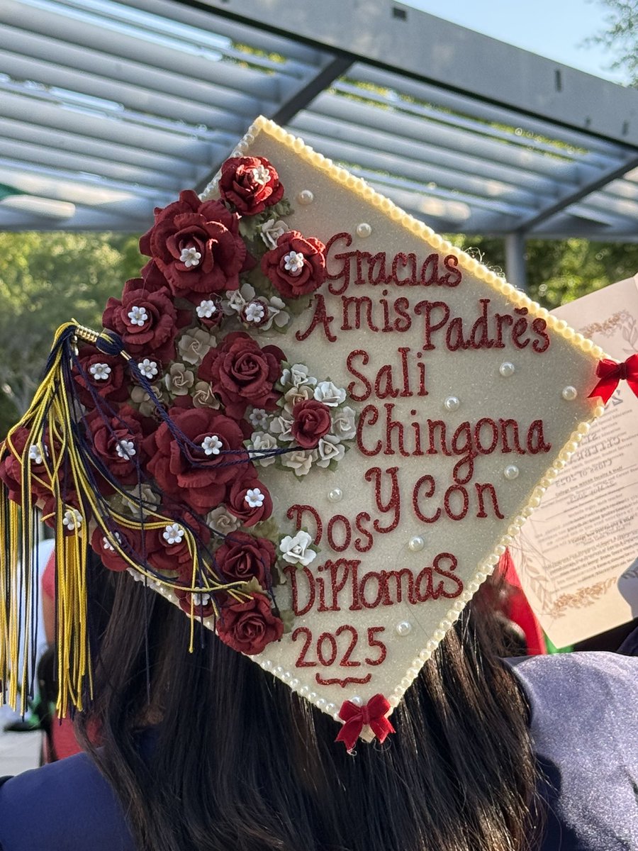 Aline H. Lee tweet media