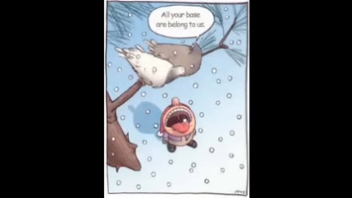 TheMorganDev's tweet image. 