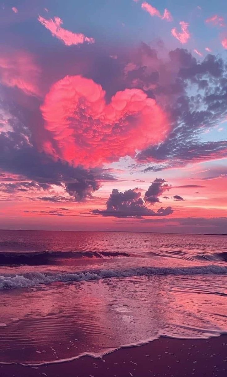 Aesthetics (@aestheticspost_) on Twitter photo 