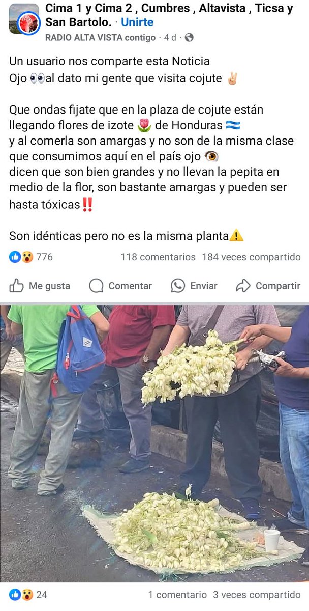 mr_yisus__'s tweet photo. Primera vez que veo algo así 😮👇
@CathyCa1 @crackenreloaded @oscardomsv @JarvisAntoni @Santana17Sep @GIRONV875 @waraujo64 @MrChamperoski @AgriculturaSV @ChrisGuevaraG https://t.co/UQSAtLuGBJ