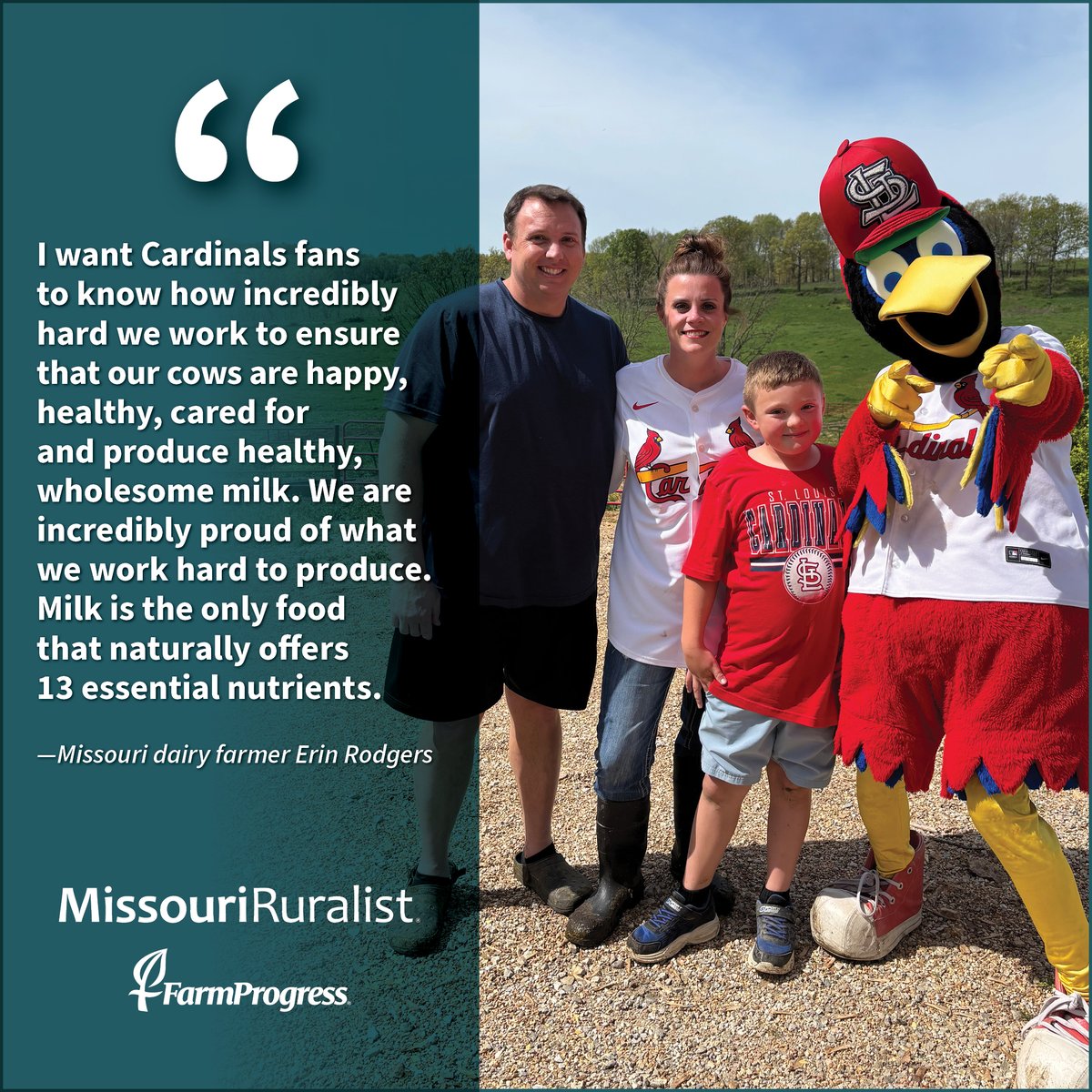 “I want Cardinals fans to know how incredibly hard we work to ensure that our cows are happy, healthy, cared for and produce healthy, wholesome milk,” Missouri dairy farmer Erin Rodgers says. “We are incredibly proud of what we work hard to produce..."