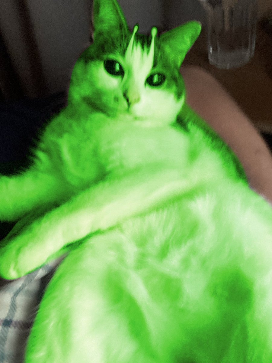 gleeper...awhmeean..👽🛸☝️