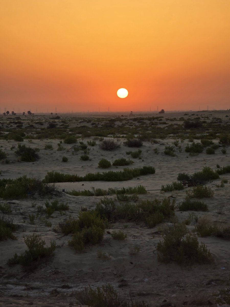 Aalyy95's tweet photo. ☀
إشراقةجمال اليوم ليس فقط في شُروق
الشمس بل في شكر الله على أن
وهبنا يومًا آخر نذكره ونعبده فيه #aaly mohsen https://t.co/B6PXAqdmnK