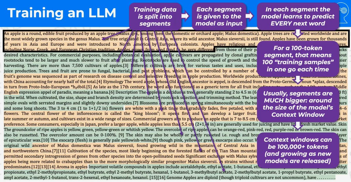 ccxtt33's tweet photo. learning how to train #LLM https://t.co/Bfg6GTpYLn