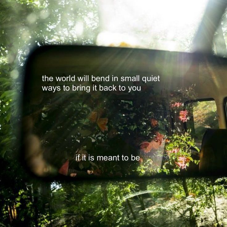 Synexdoche (@amor_fatti) on Twitter photo 