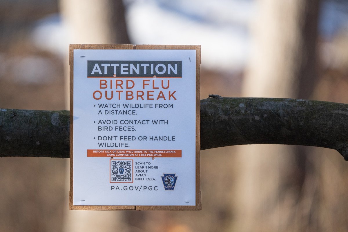 NewsMedical's tweet photo. Genomic analysis reveals how bird flu jumped from wild birds to poultry and people https://t.co/lDje8AqBqf #BirdFlu #AvianInfluenza #H5N1 #ViralEvolution #OneHealth #Outbreak #Wildlife #GenomicSurveillance #PublicHealth @CDC_NCEZID https://t.co/HlV4D6jnDu