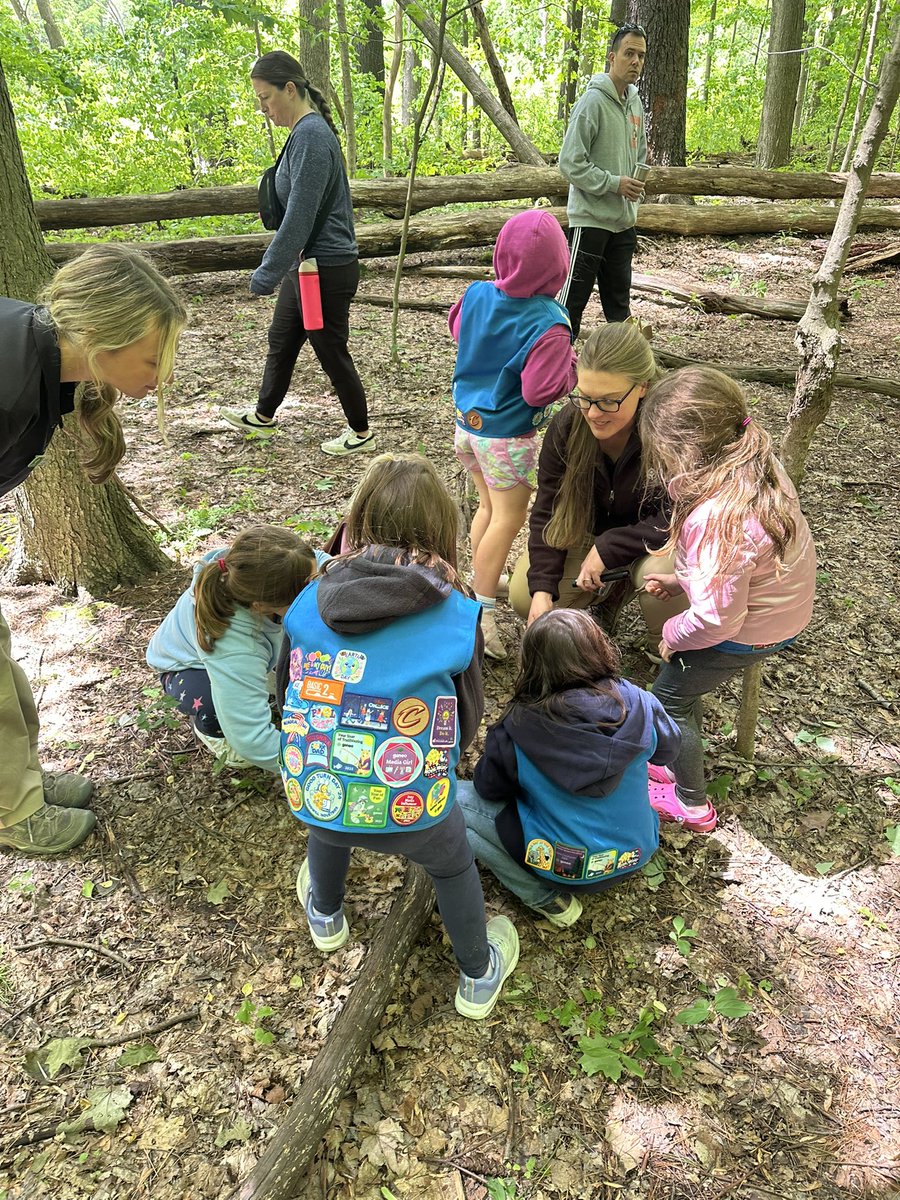 Ashley Basile Oeken tweet media