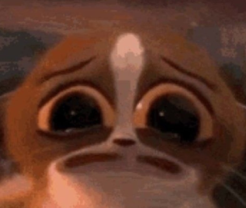 '𝙎𝙌𝙐𝙄𝙍𝙍𝙀𝙇 𝙎𝙏𝘼𝙈𝙋𝙀𝘿𝙀𝙀!' tweet media
