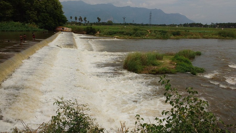 DDTamilNews's tweet image. தேனி: நீர்ப்பிடிப்பு பகுதிகளில் பெய்துவரும் தொடர் மழையால், முல்லைப் பெரியாறு அணைக்கு நீர்வரத்து 7,000 கன அடியாக அதிகரிப்பு

#Theni | #TNRains | #DDTamilNews