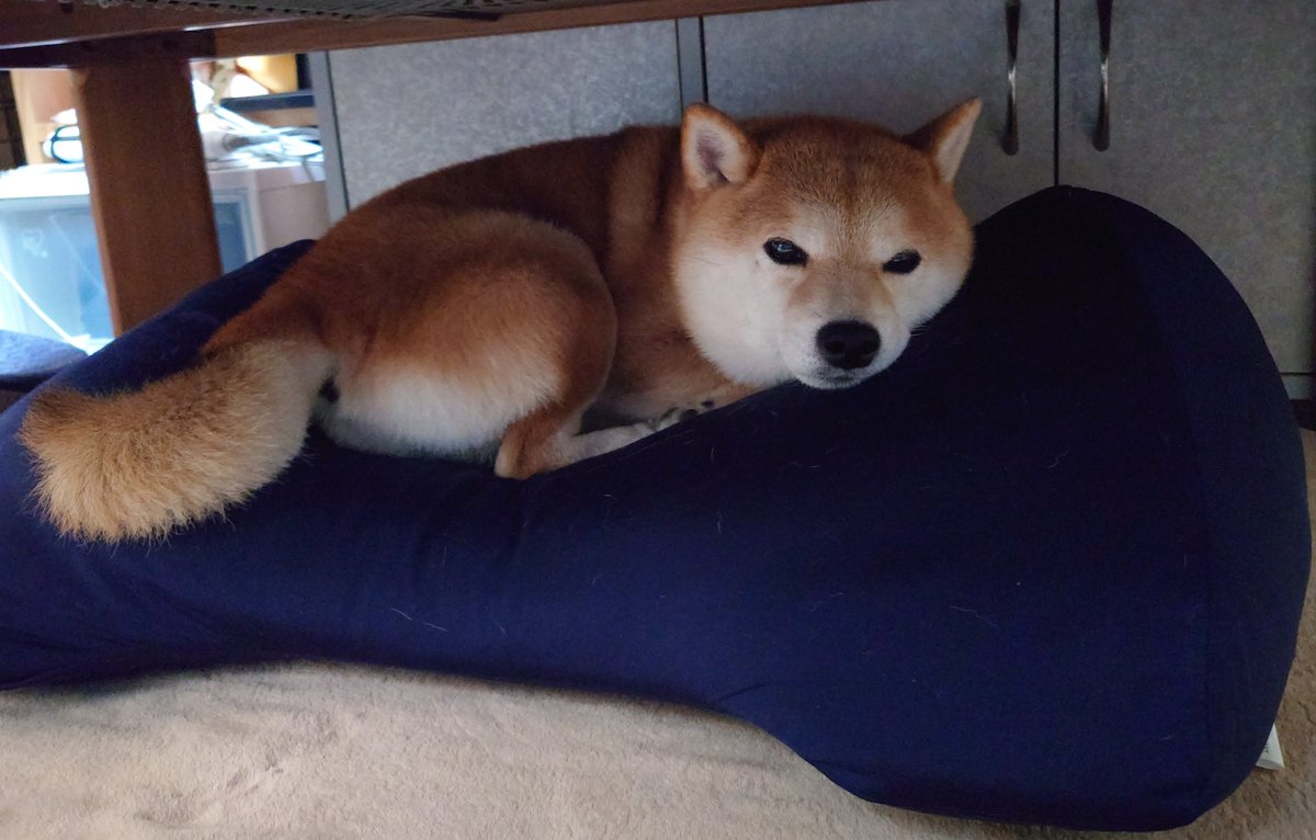 monakamaru2's tweet photo. 返してもらえない https://t.co/B5eC5y3h7V
