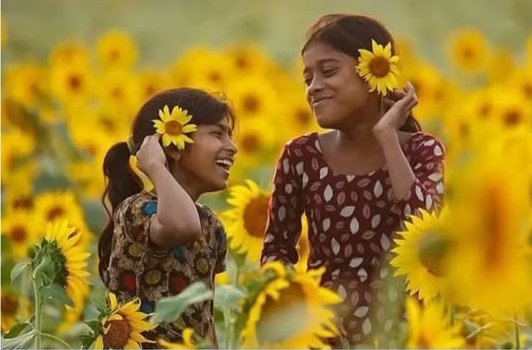 कविता-ख़ोर tweet media