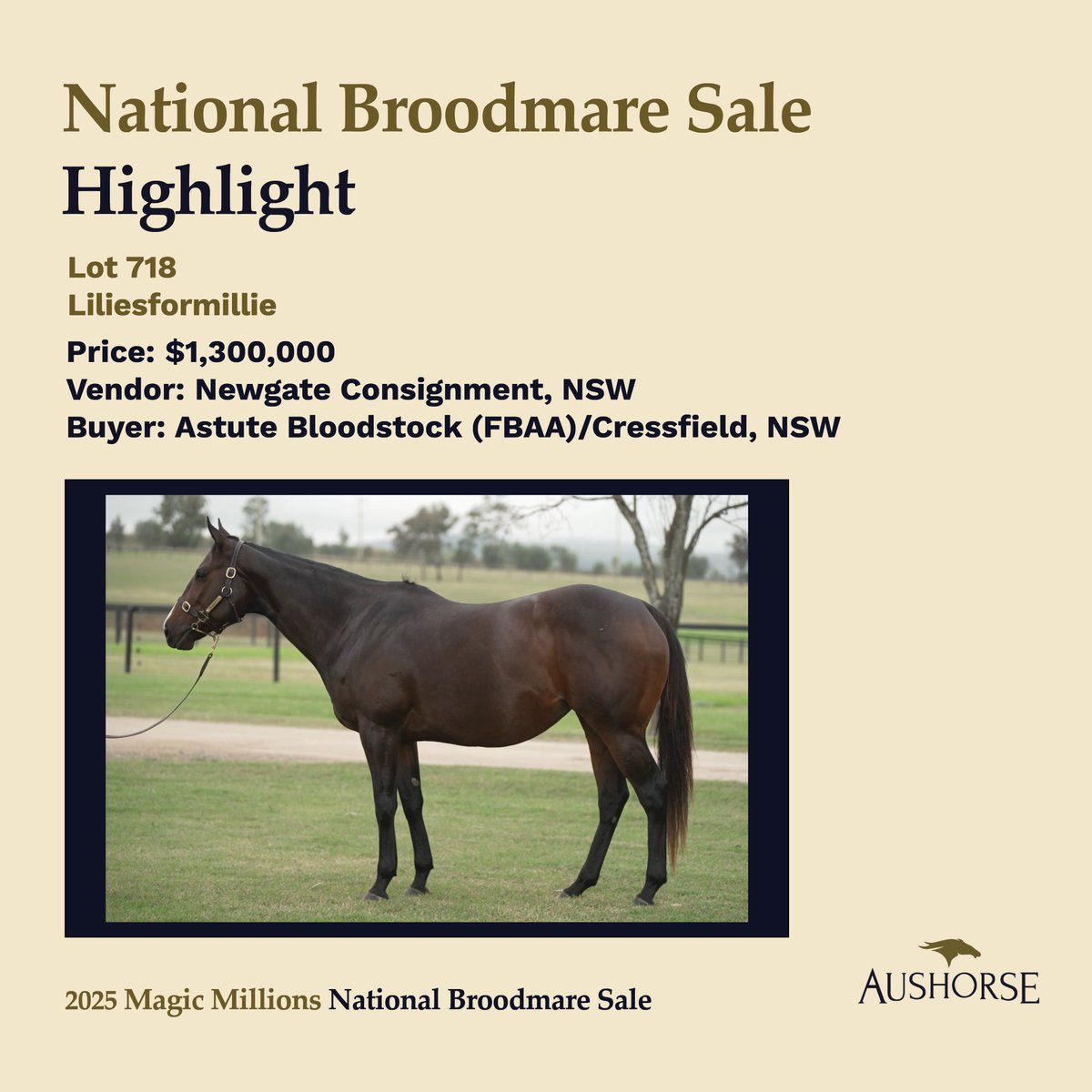 Aushorse (@aushorse_tba) on Twitter photo Lot 718 - Liliesformillie
Sold for $1.3M by <a href="/NewgateFarm/">Newgate</a>
Purchased by <a href="/AstuteBldstock/">Astute Bloodstock</a>/ <a href="/Cressfieldstud/">Cressfield</a> Lot 718 - Liliesformillie
Sold for $1.3M by <a href="/NewgateFarm/">Newgate</a>
Purchased by <a href="/AstuteBldstock/">Astute Bloodstock</a>/ <a href="/Cressfieldstud/">Cressfield</a>
